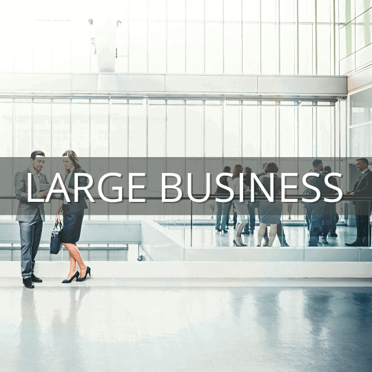 large business industry IT solutions large business industry IT solutions